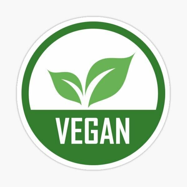 Beyrouth Bay Malo accepte les chiens à Malo-les-Bains