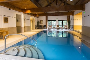 Hotel acceptant les chiens