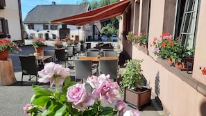 Hotel acceptant les chiens