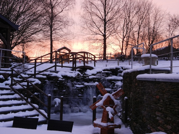 Le 'Ti 'Bou de Refuge accepte les chiens à Sensenruth