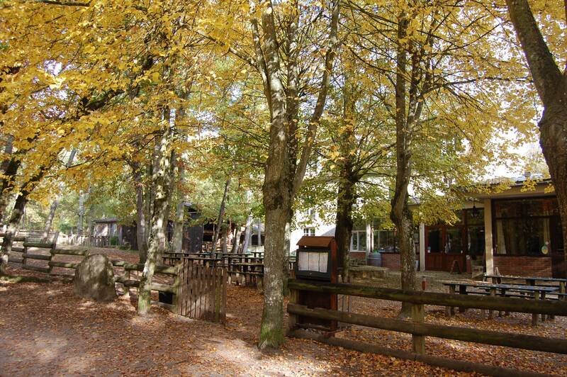 Auberge de la Dame Jouanne accepte les chiens à Larchant