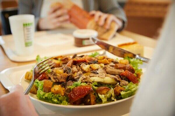 RiBiNN accepte les chiens à Plabennec