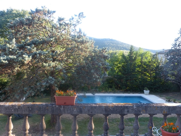 Mas Moïse accepte les chiens à Sauve