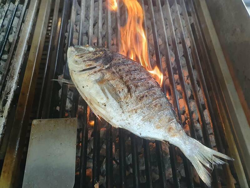 La « Nouvelle » Côte de Boeuf accepte les chiens à Melle