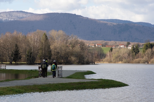 F2 meublé gite de France 3 épis City break près de Belfort. accepte les chiens à Essert