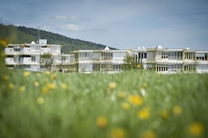 Hotel acceptant les chiens