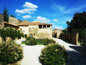 Hotel acceptant les chiens