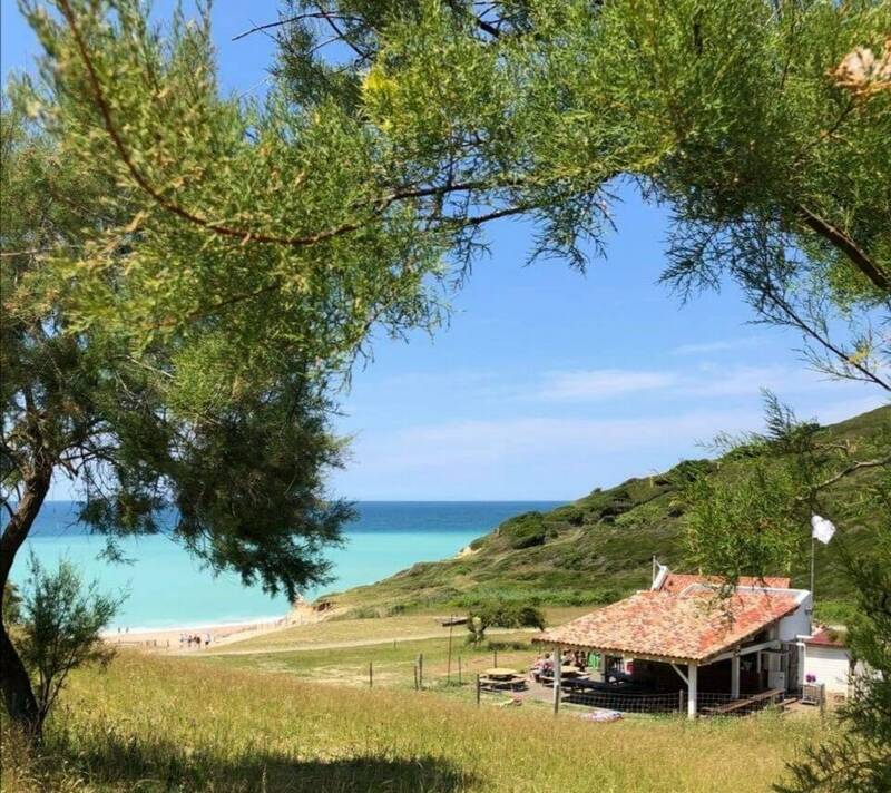 Kanttu Bidart accepte les chiens à Bidart