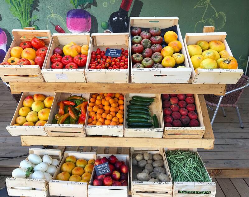 La Terrasse Du Cadereau accepte les chiens à Nîmes