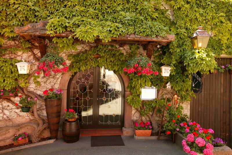 Au Caveau du Vieux Pressoir accepte les chiens à Itterswiller