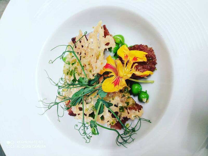 Aux Pieds Sous la Table accepte les chiens à Toulouse