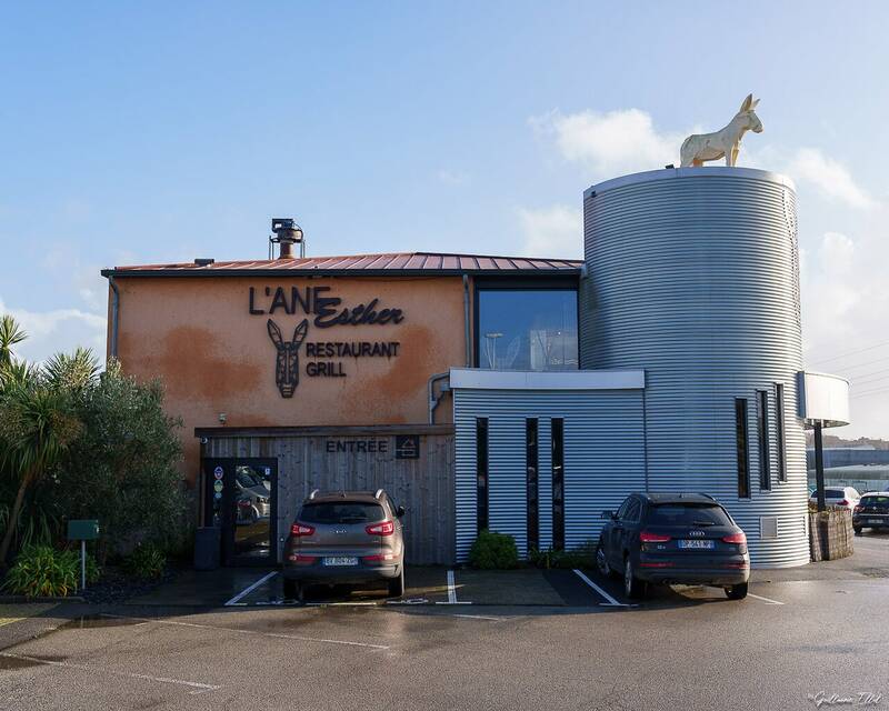 L'ane Esther accepte les chiens à Lanester