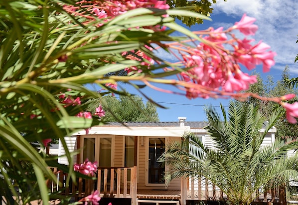 Camping Maïana Resort accepte les chiens à La Grande-Motte