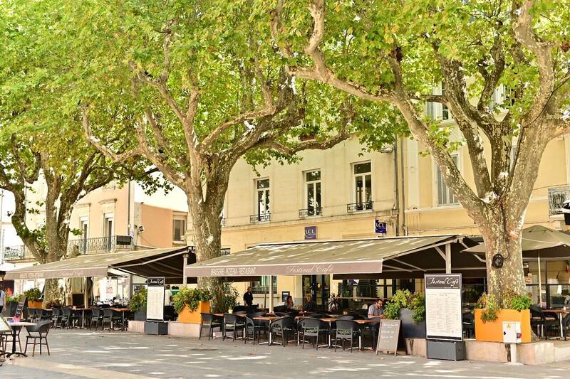 Festival Café accepte les chiens à Orange