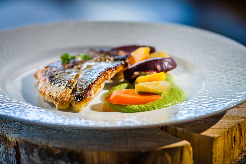 Cote Glacier accepte les chiens à Chamonix