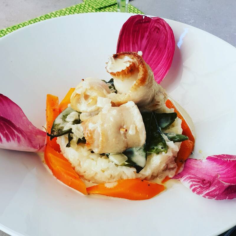 Le St André accepte les chiens à Bonnieux