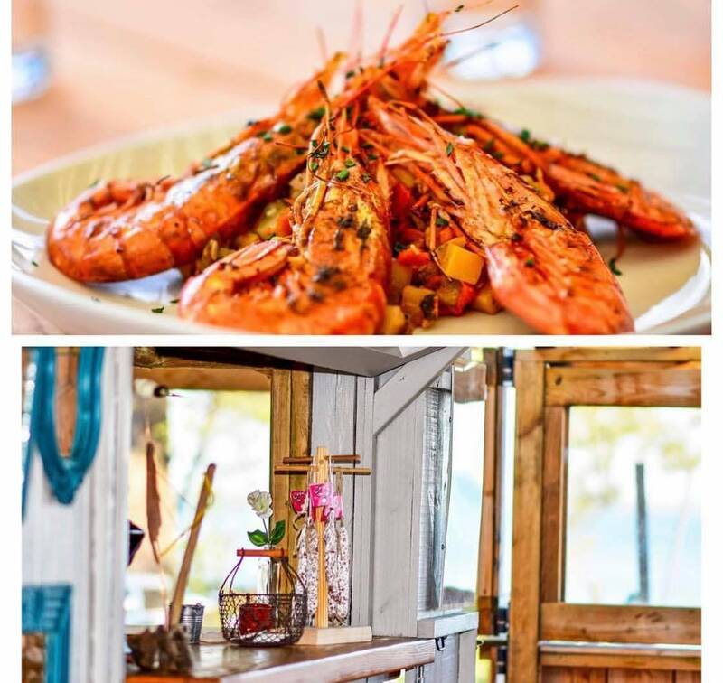 La cabane du lac chez Bardou accepte les chiens à Cazaux