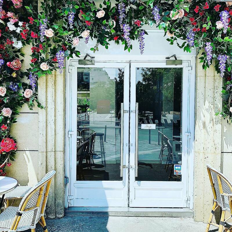 Coco accepte les chiens à Paris