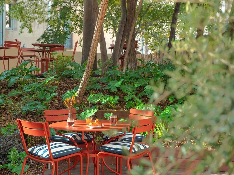 French Kiss Montpellier accepte les chiens à Montpellier