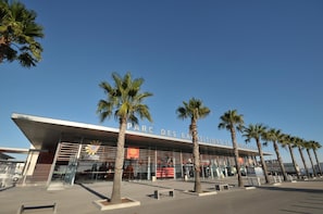 Hotel acceptant les chiens