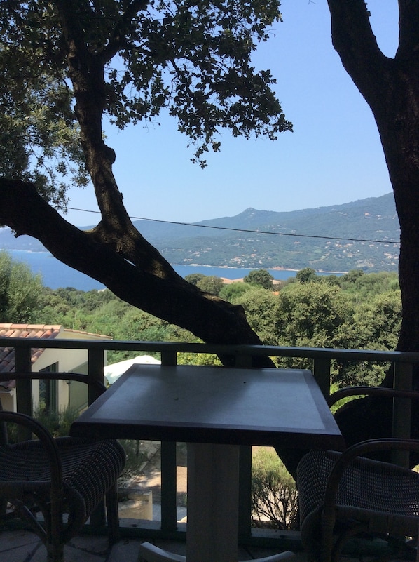 Chambres d'hôtes Île de Beauté accepte les chiens à Viggianello