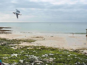 Hotel acceptant les chiens