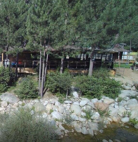 Restaurant Snack A Tyroliana Tagliu Rossu accepte les chiens à Sainte-Lucie-de-Porto-Vecchio