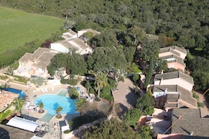 Hotel acceptant les chiens