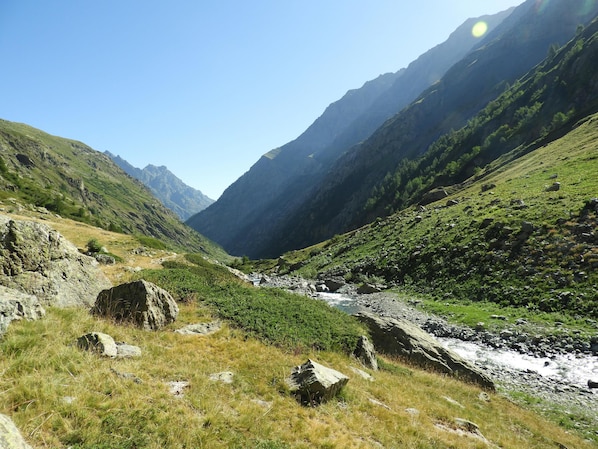 ibis Gap Centre accepte les chiens à Gap