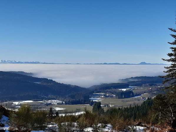 S.P.L. SAVILOISIRS accepte les chiens à Saint-Amant-Roche-Savine