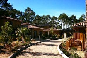 Hotel acceptant les chiens