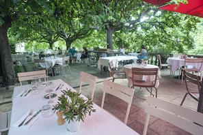 Hotel acceptant les chiens