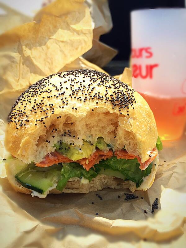 VG'Terrien accepte les chiens à Villeneuve d'Ascq