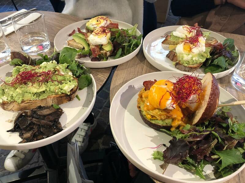 Haven accepte les chiens à Annecy