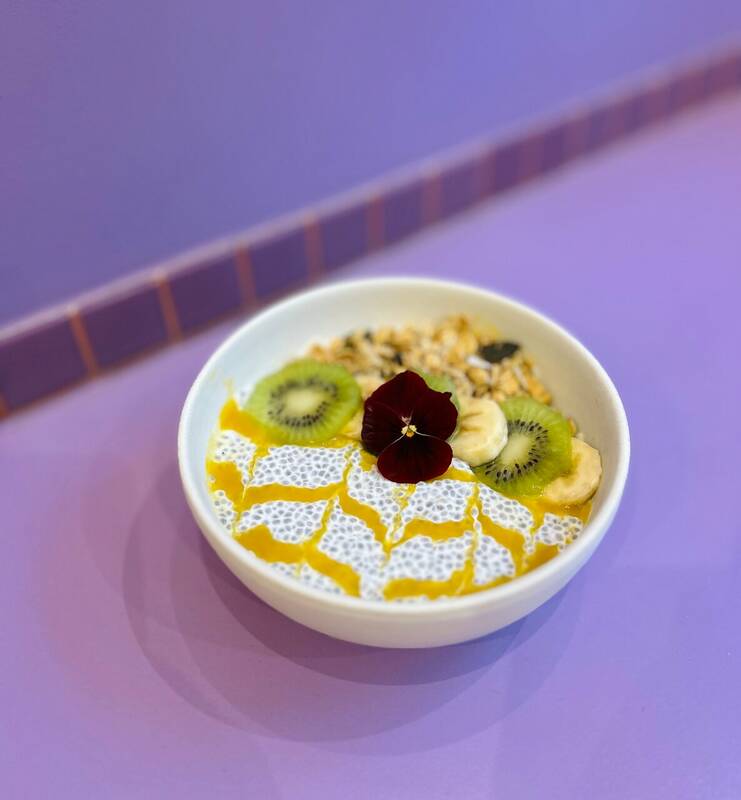 Jovia accepte les chiens à Paris