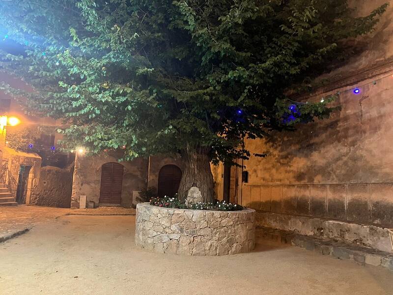 A Buttea accepte les chiens à Santa Reparata di Balagna