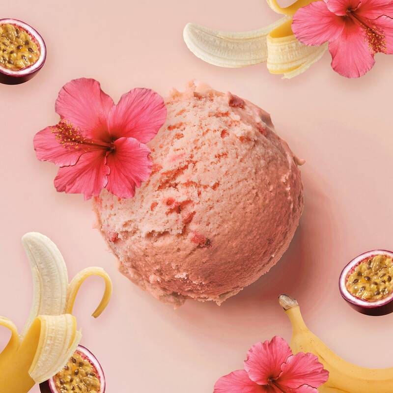 Glaglagla - Glacier Toqué - Toulouse accepte les chiens à Toulouse