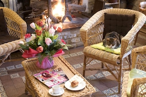 Hotel acceptant les chiens