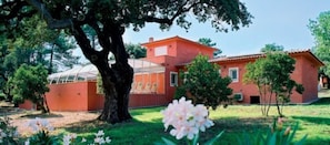 Hotel acceptant les chiens