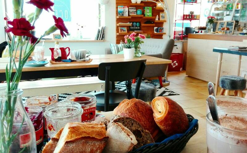 Donnie Ocean accepte les chiens à Saint-Jean-de-Luz