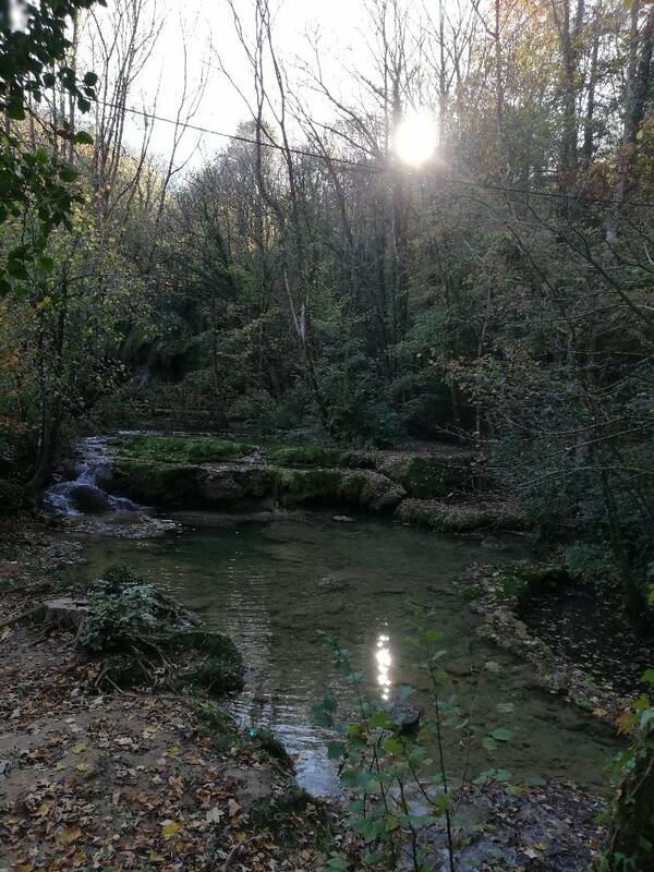 La Maison Du Haut accepte les chiens à Saint-Lothain
