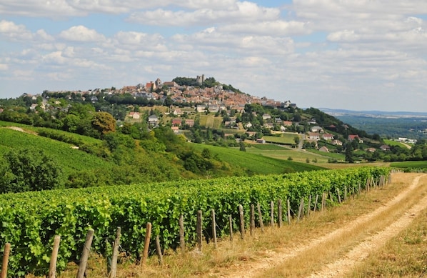 ibis budget Cosne-sur-Loire accepte les chiens à Cosne-Cours-sur-Loire