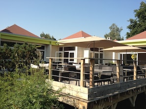 Hotel acceptant les chiens