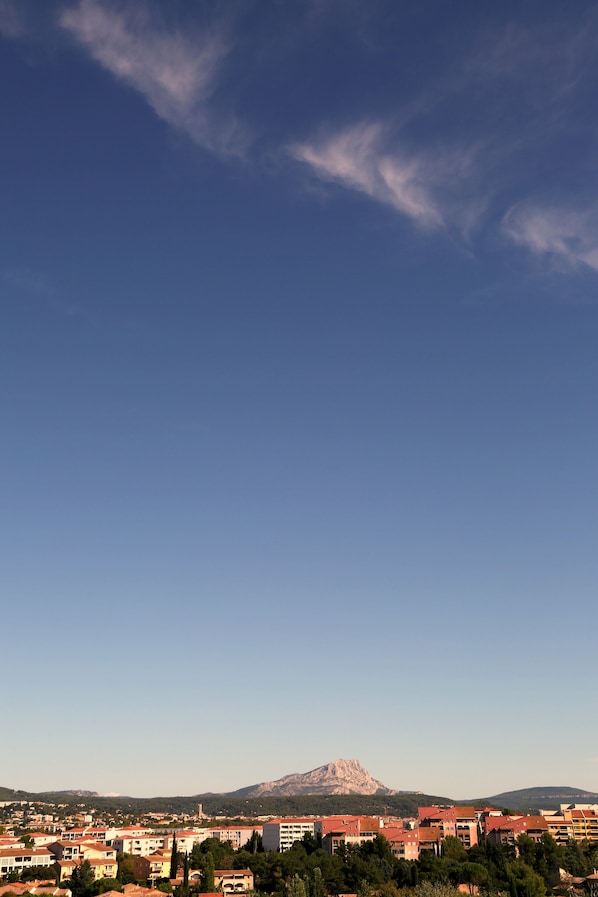 Les Académies Aixoises accepte les chiens à Aix-en-Provence