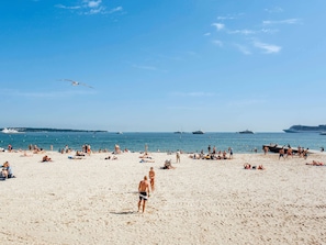 Hotel acceptant les chiens