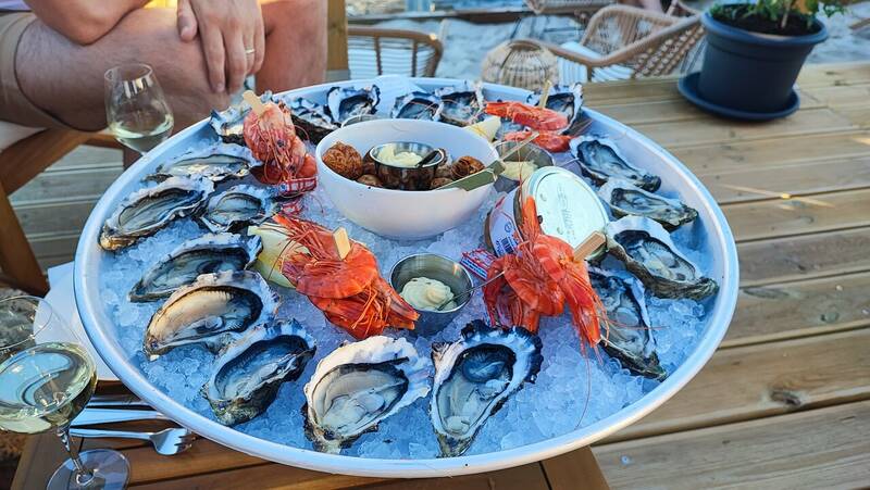 L'escapade accepte les chiens à Andernos-les-Bains