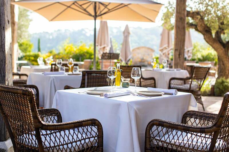 L'Olivier de Berne accepte les chiens à Flayosc