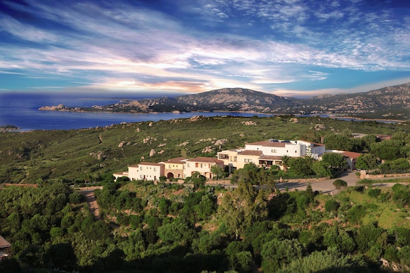 Hotel Micalosu accepte les chiens à Arzachena