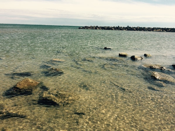 The Originals Boutique, Hôtel Neptune, Montpellier Sud accepte les chiens à Mauguio