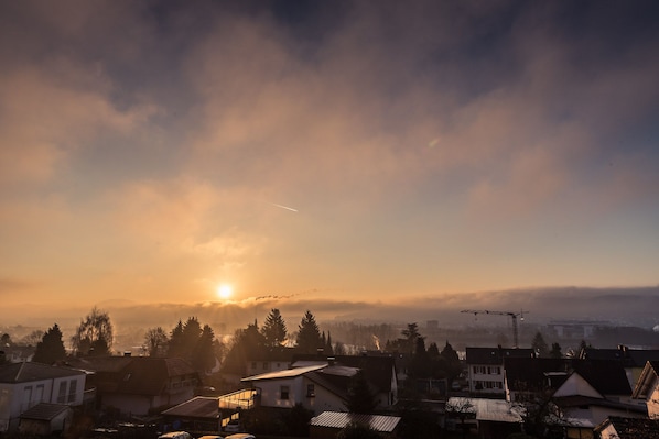 St. Fridolin accepte les chiens à Bad Saeckingen